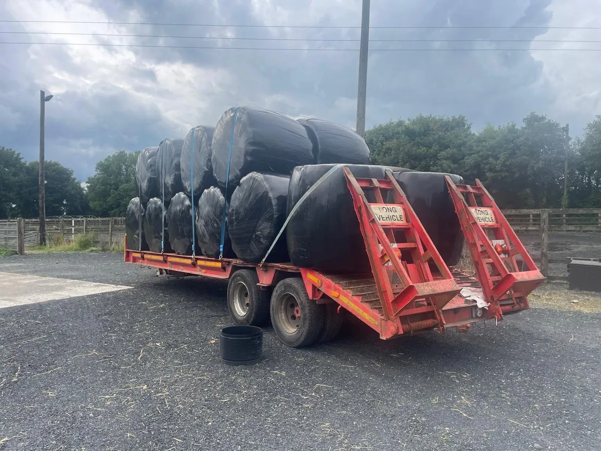 Tandem-Axle Low Loader Trailer – €7,500 - Image 2