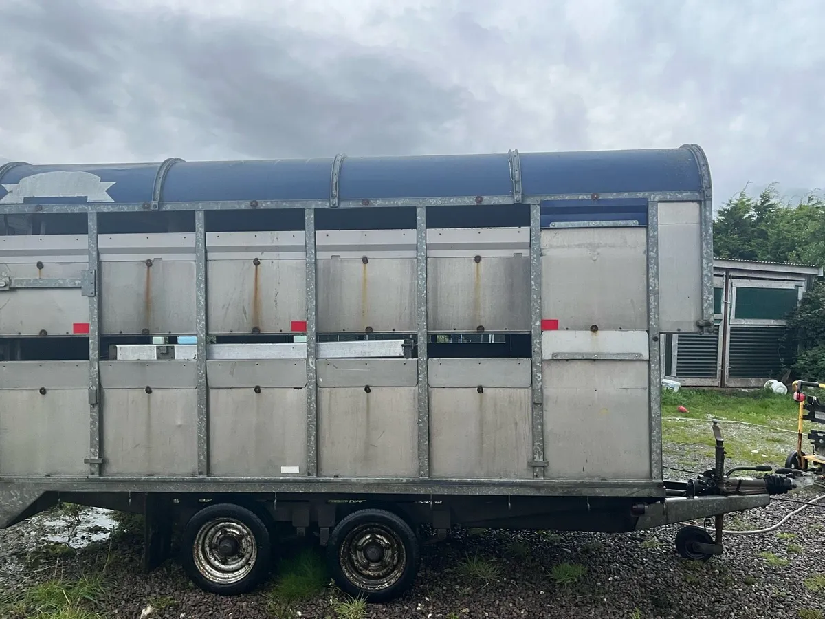 Cattle/sheep trailer - Image 3
