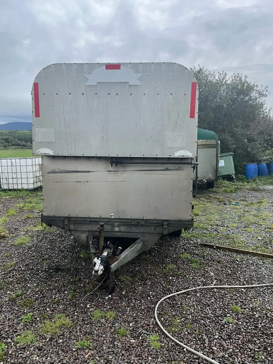 Cattle/sheep trailer - Image 4