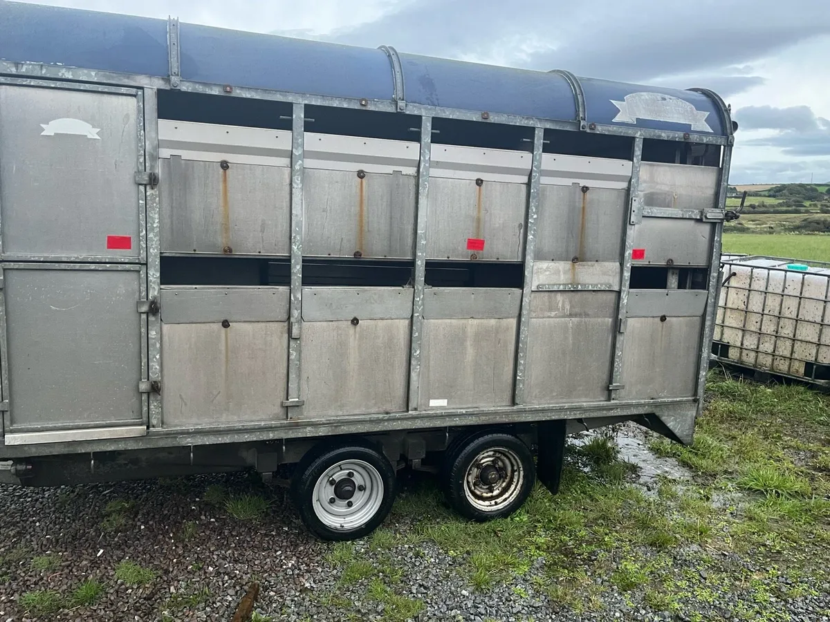 Cattle/sheep trailer - Image 1