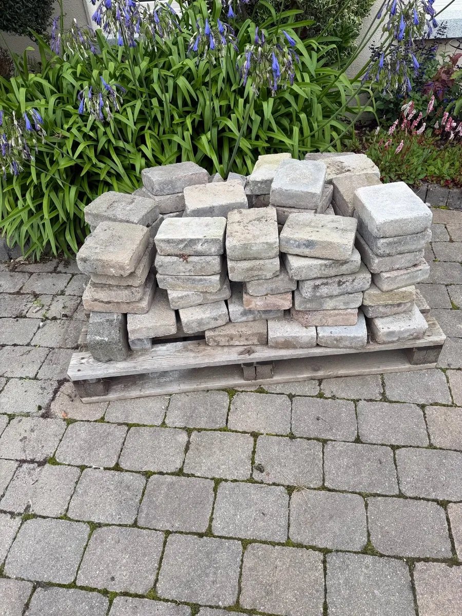 Tobermory paving