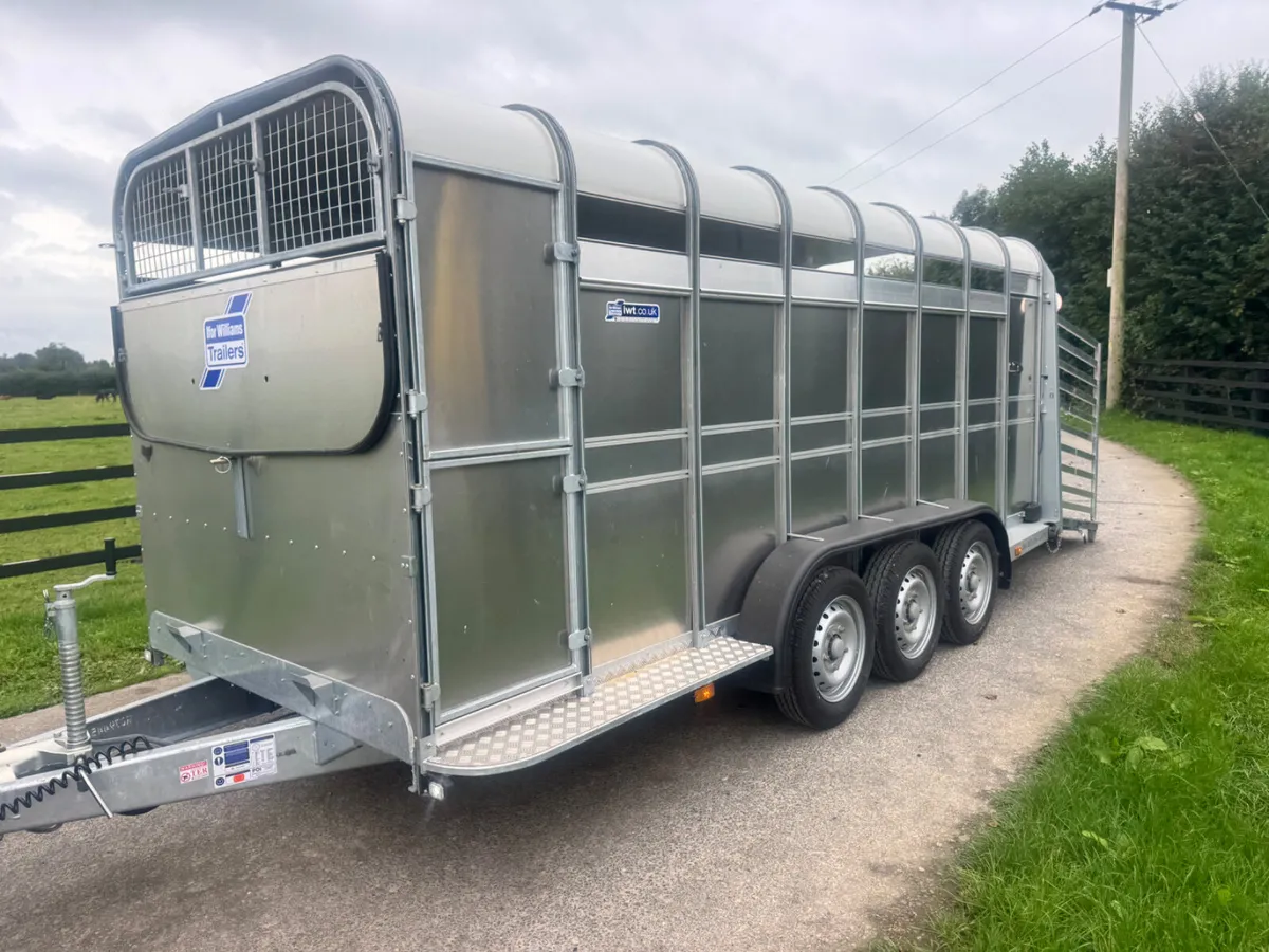 New 16ft Ifor Williams Cattle Trailer***** - Image 4
