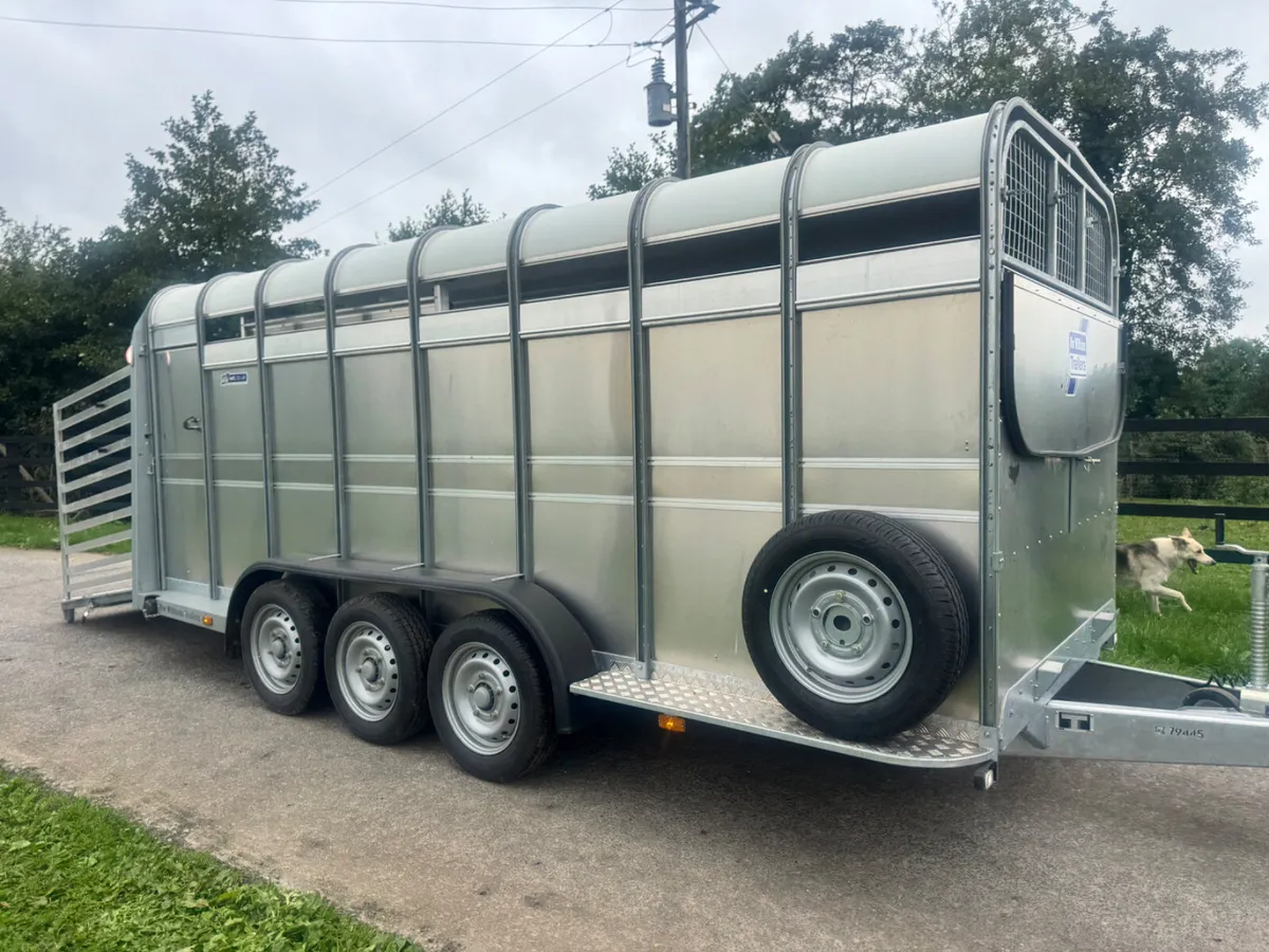 New 16ft Ifor Williams Cattle Trailer***** - Image 2