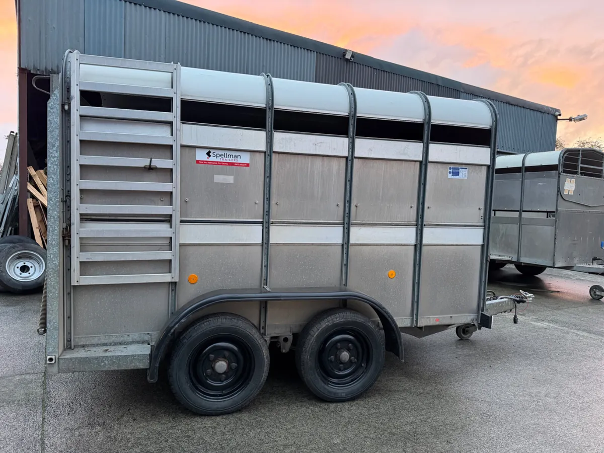 Ifor Williams livestock trailer - Image 3