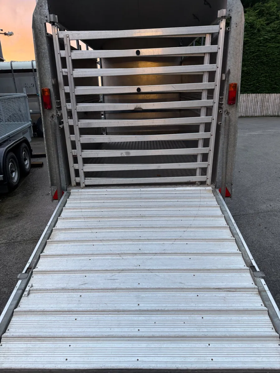 Ifor Williams livestock trailer - Image 2