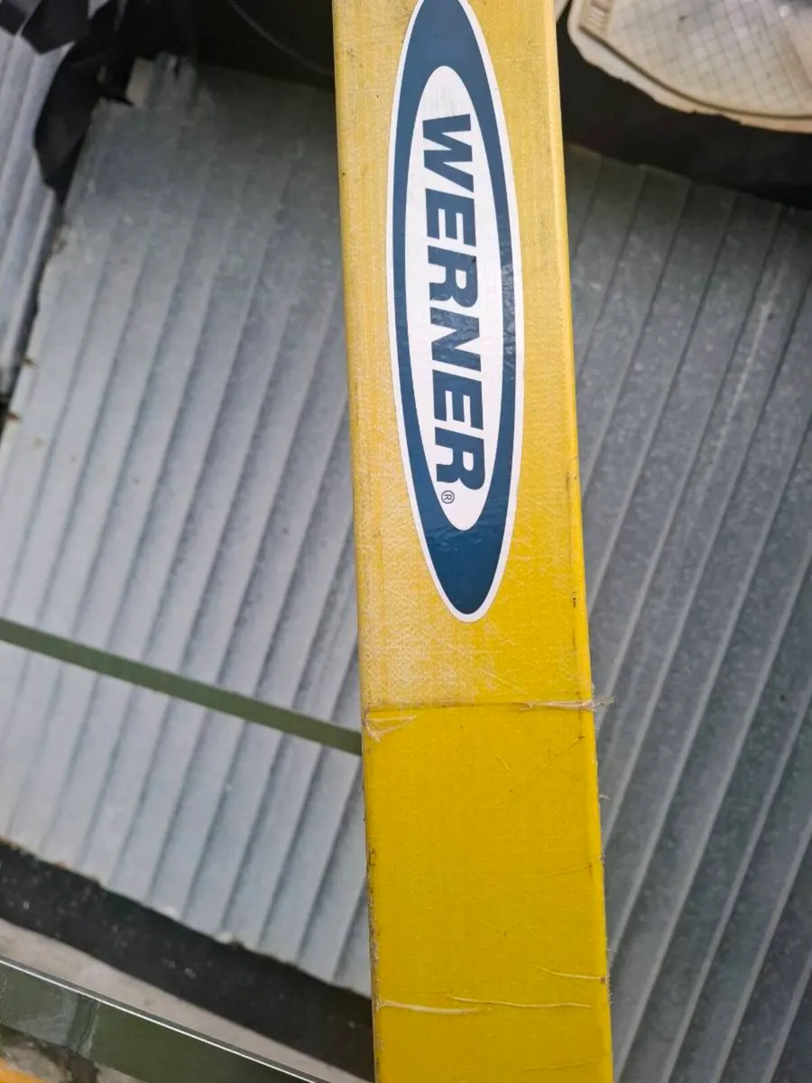 Weiner Step ladder - Image 1