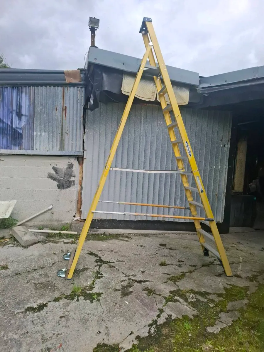 Weiner Step ladder - Image 2