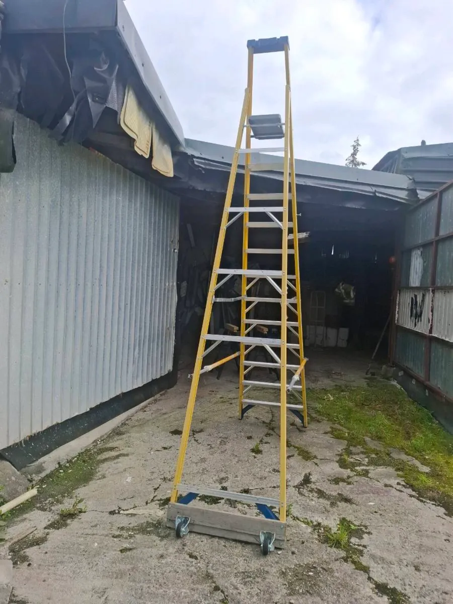 Weiner Step ladder - Image 3