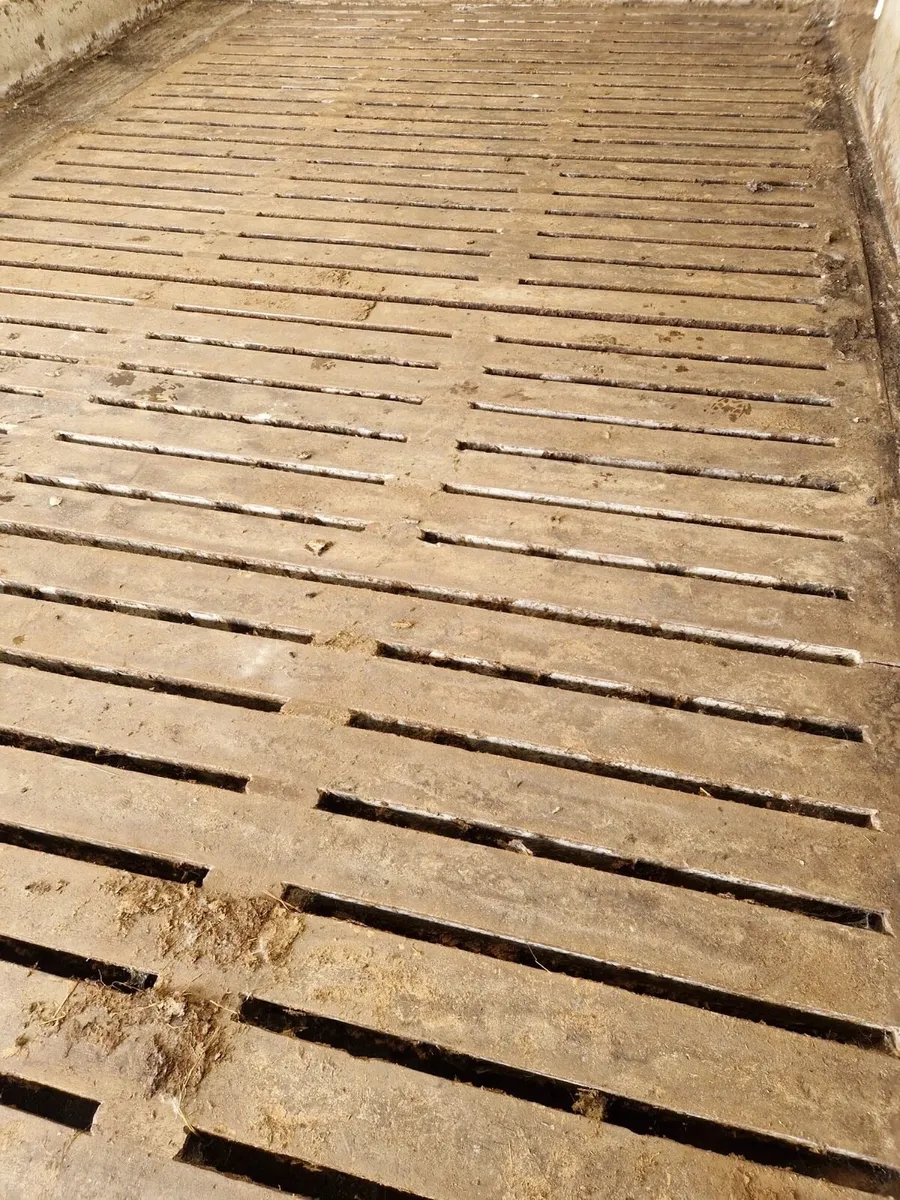11’ 6’ Gang Slates - Image 3