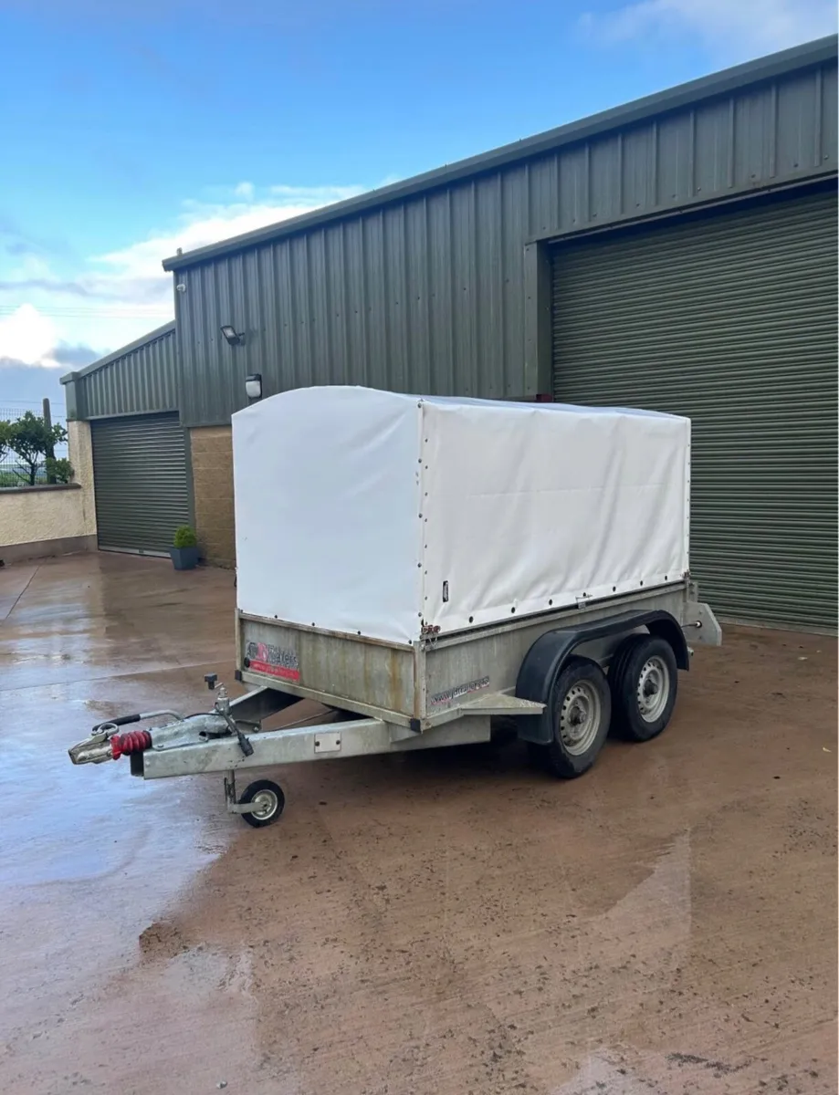 8x4 trailer with removable custom-fit canopy - Image 2