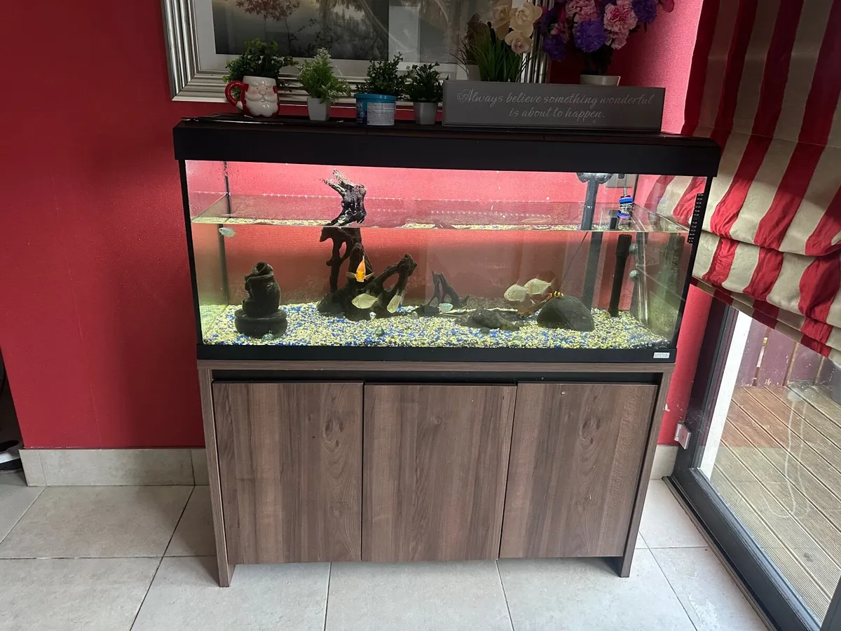 Aquarium - Image 2