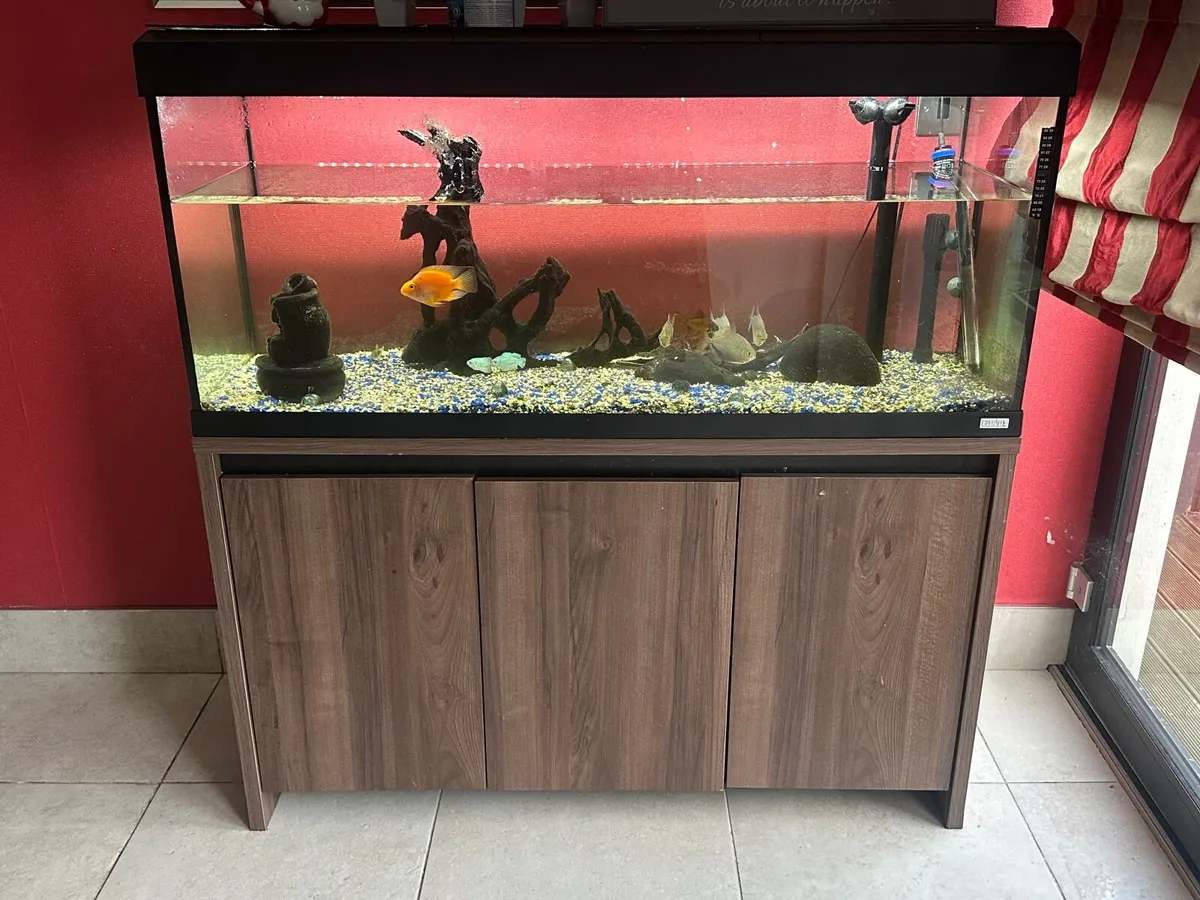 Aquarium - Image 4