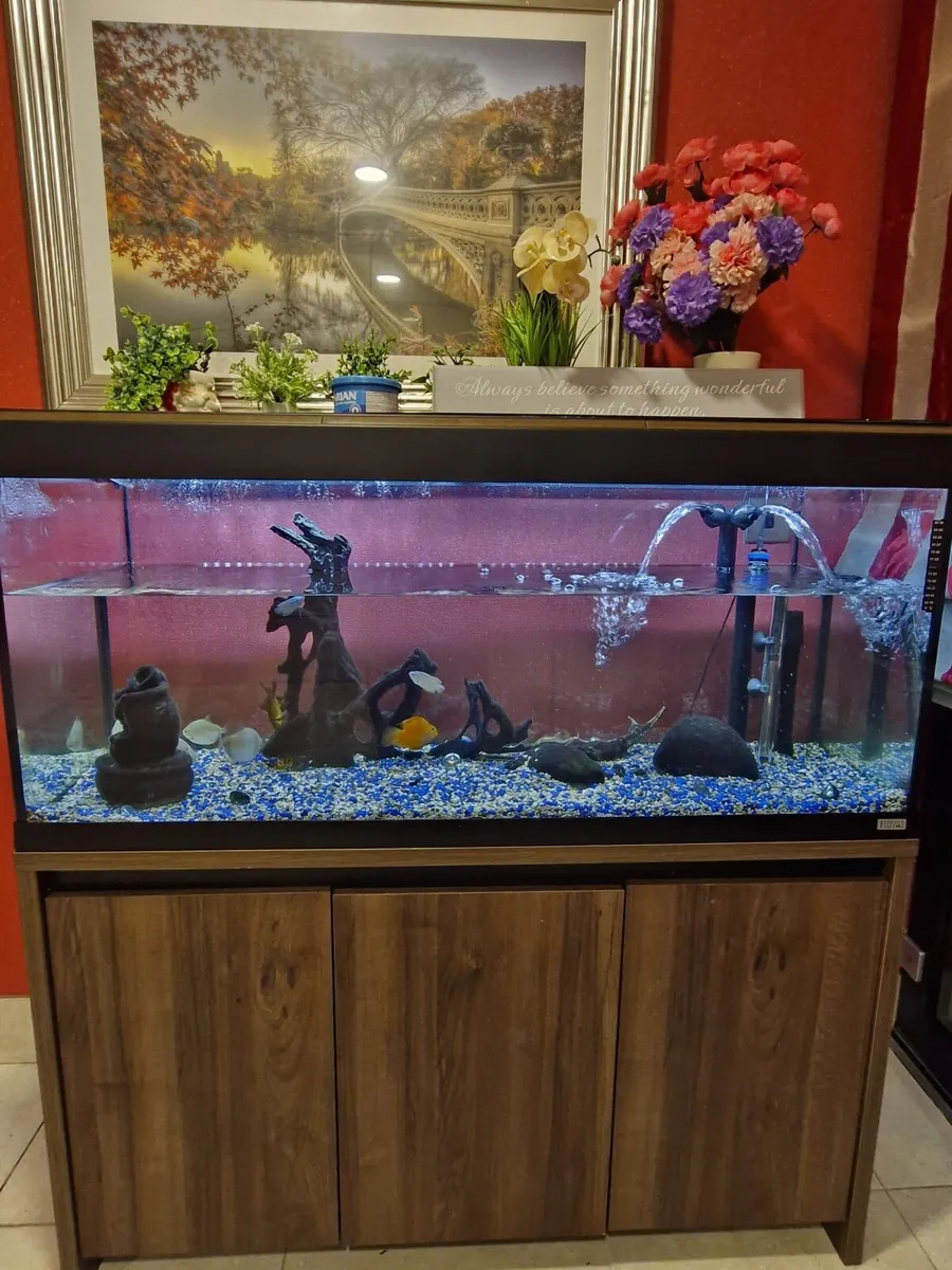 Aquarium - Image 3