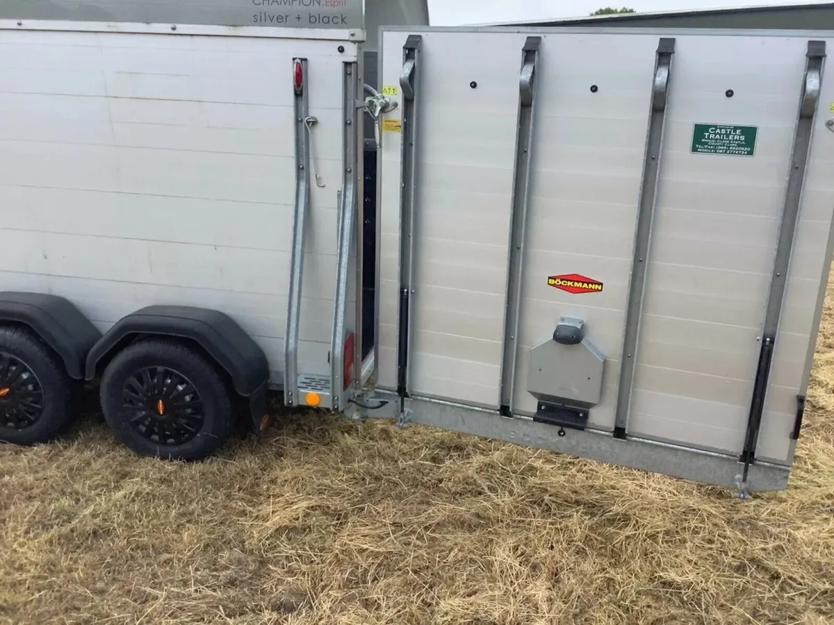 Bochman champion esprit horse box (immaculate) - Image 3