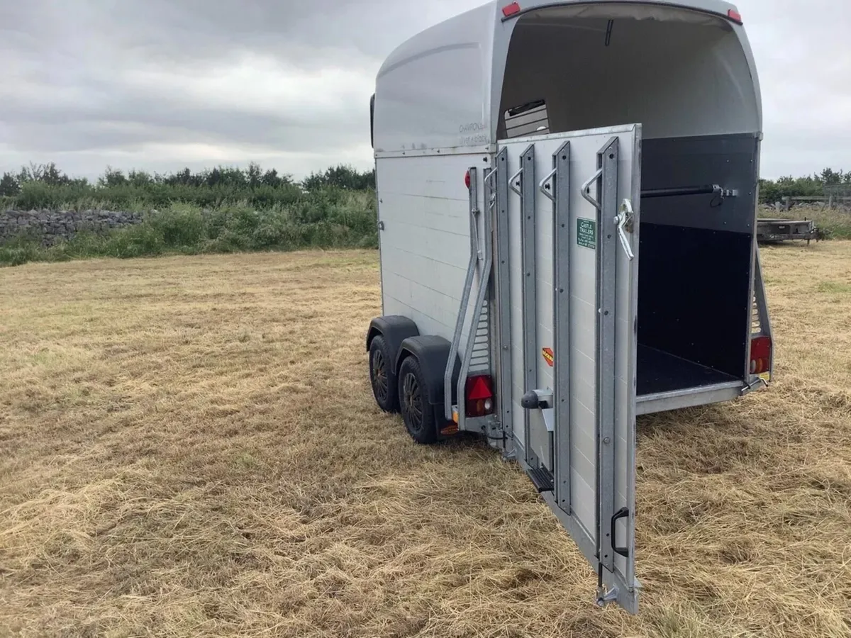 Bochman champion esprit horse box (immaculate) - Image 4