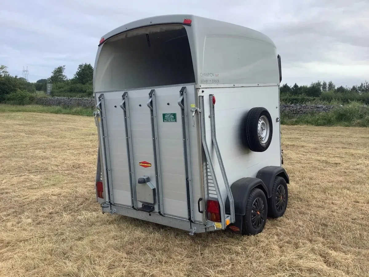 Bochman champion esprit horse box (immaculate) - Image 2