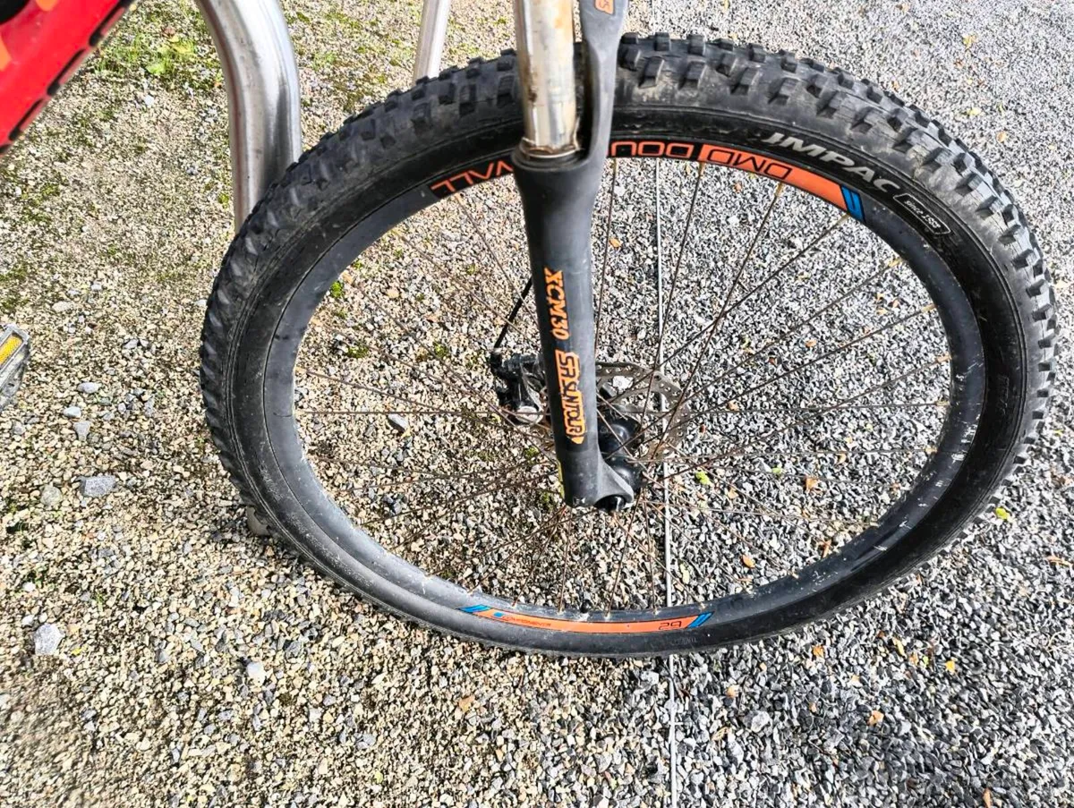29" Carrera Hellcat - Image 4
