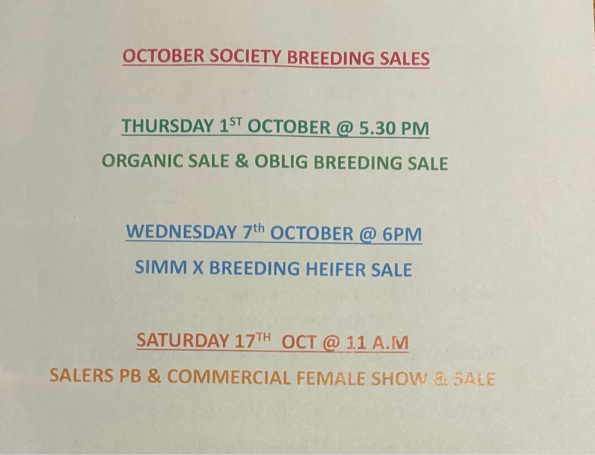 Gort Mart: Thurs 10th Sept BBX show sale - Image 2