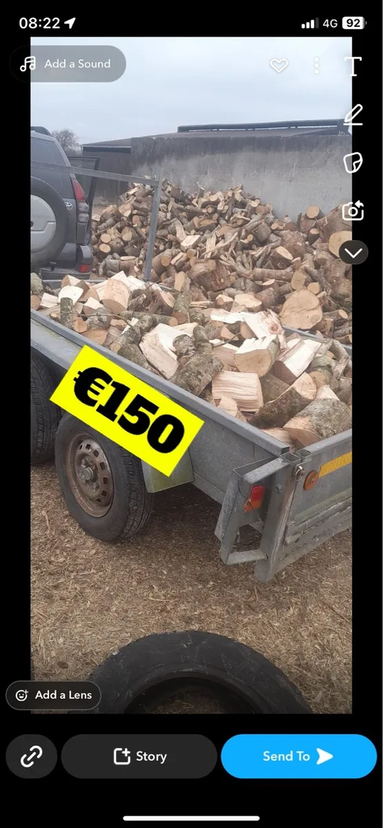 Ash firewood - Image 4