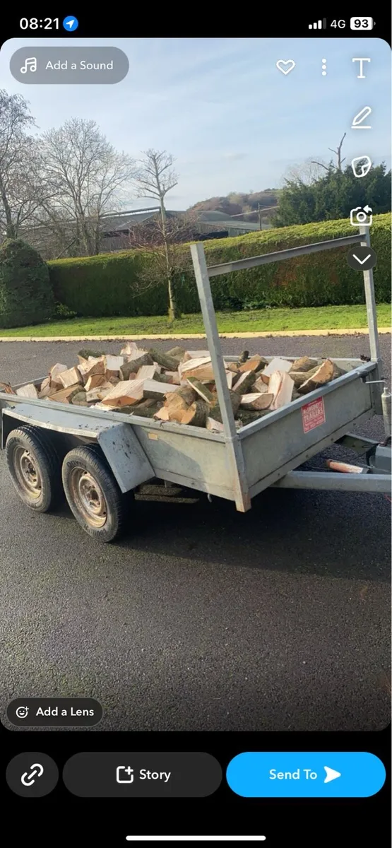 Ash firewood - Image 3