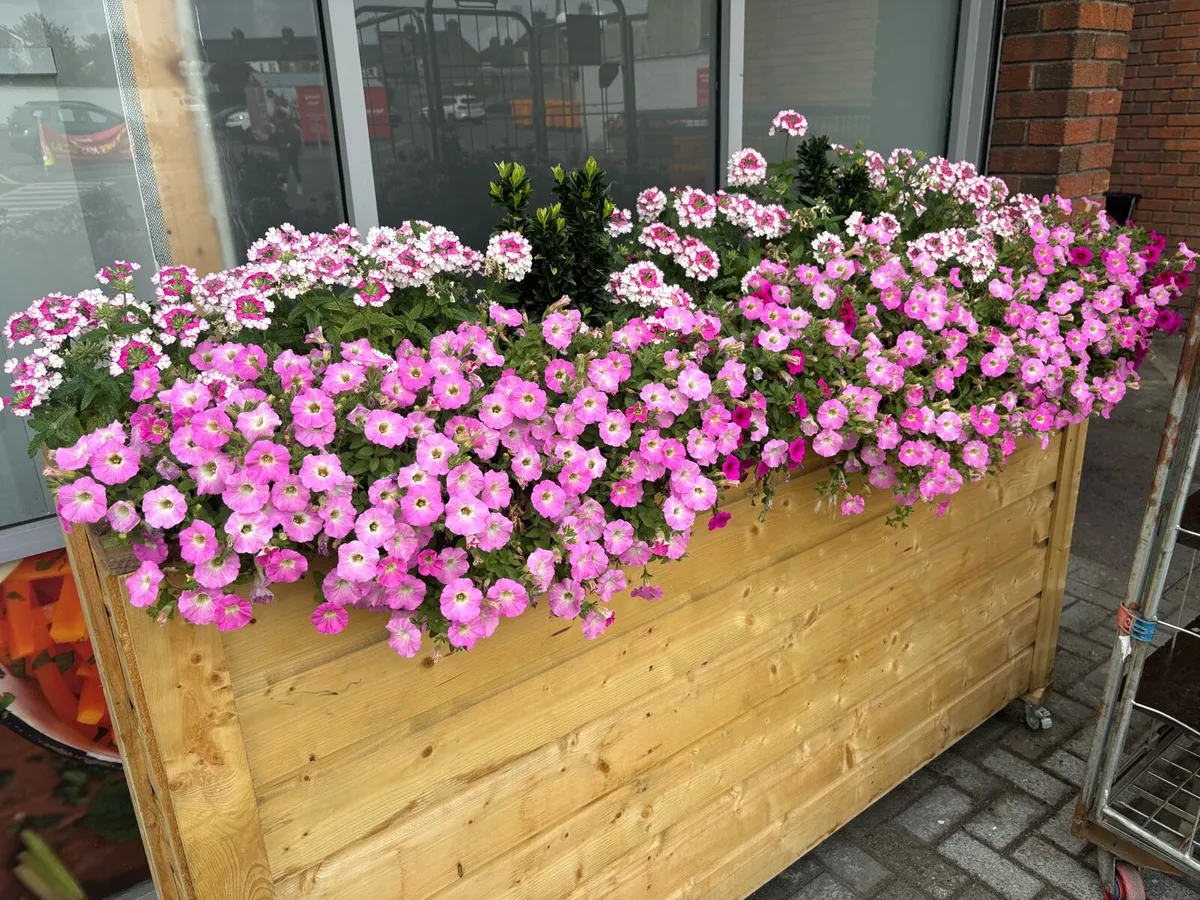 Business & Home planters - Image 1