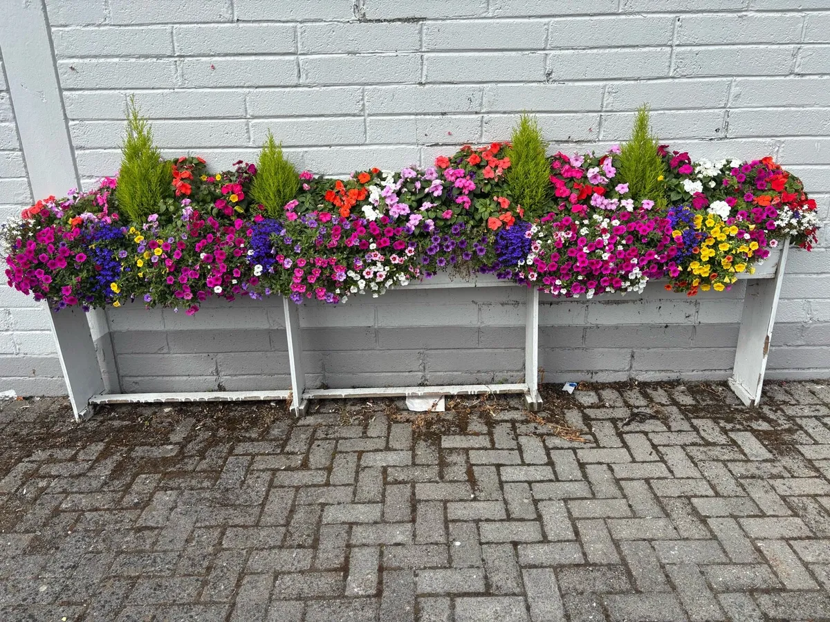 Business & Home planters - Image 2