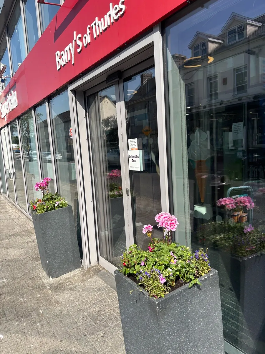 Business & Home planters - Image 3