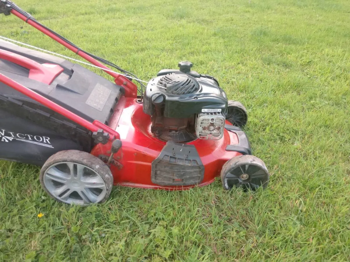 Lawnmowers - Image 1