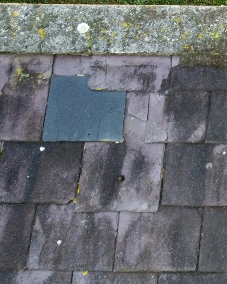 Roof survey - Image 4