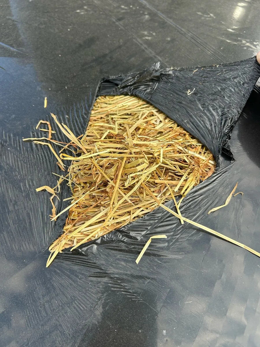Silage bales - Image 3