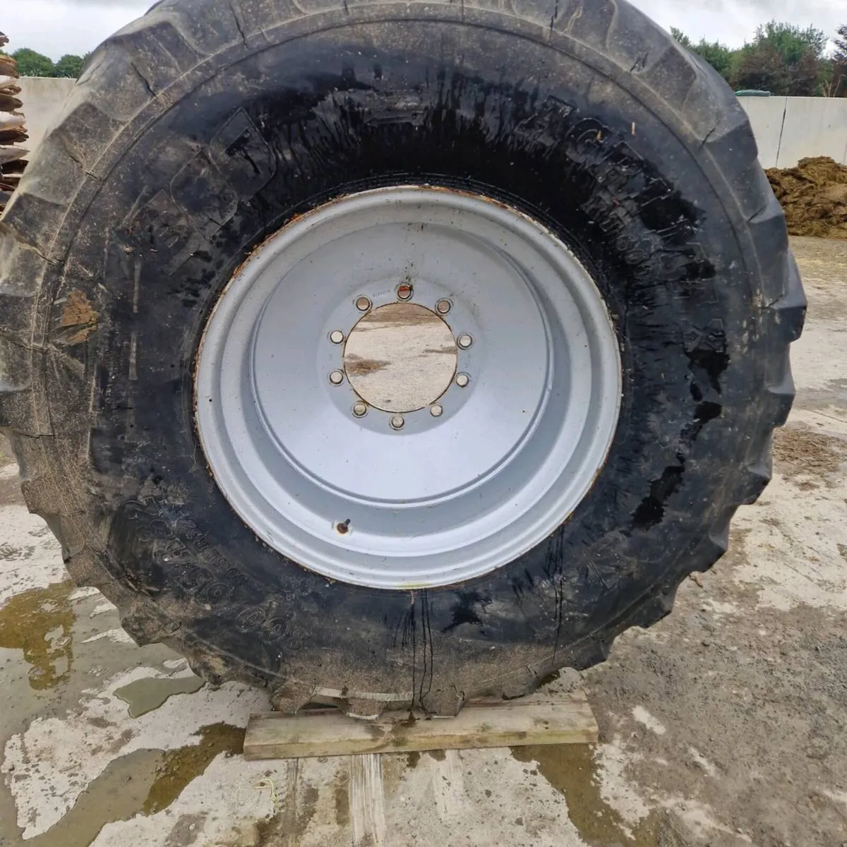 Rim - Image 1