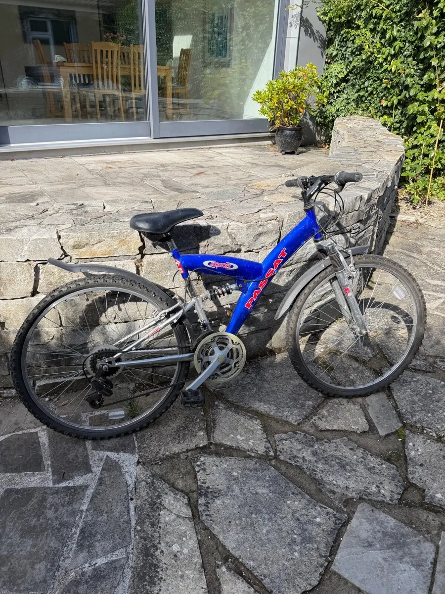 Adult bike