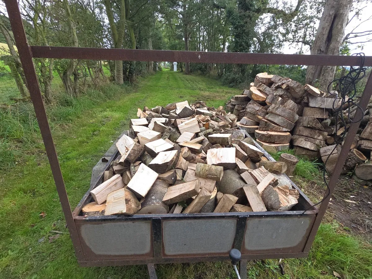 Firewood - Image 3