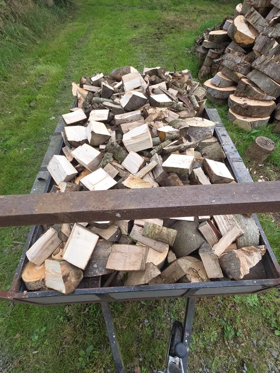 Firewood - Image 1