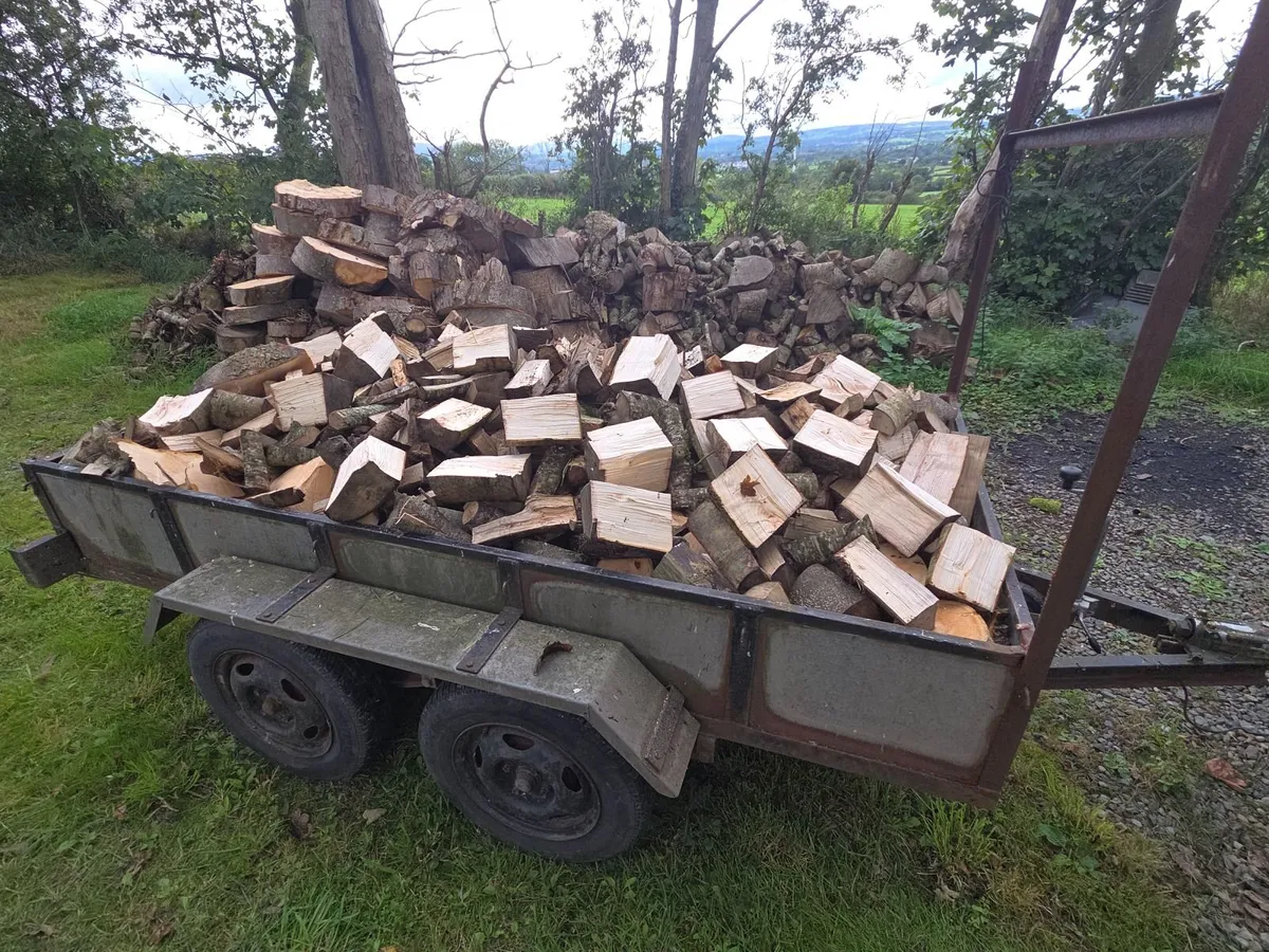 Firewood - Image 2