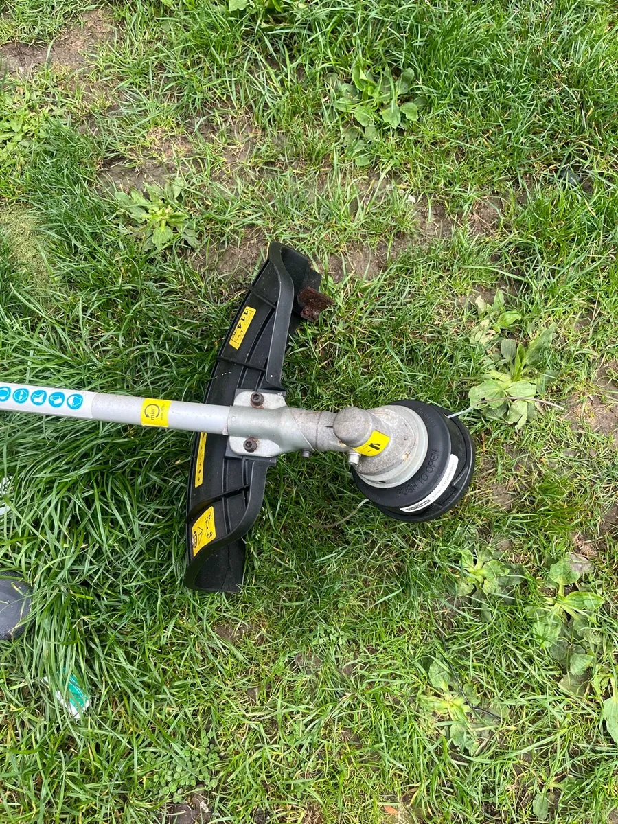 Strimmer - Image 2