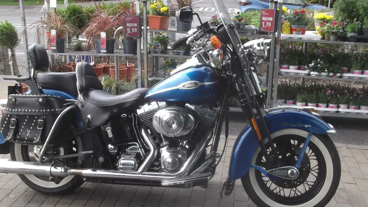 HARLEY   FLSTS heritage  SPRINGER  TRADE UP - Image 1