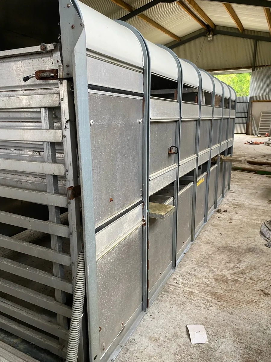 Ifor Williams 14ft - Image 3