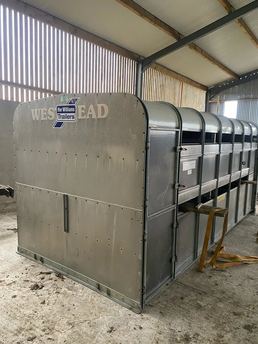 Ifor Williams  14ft - Image 1