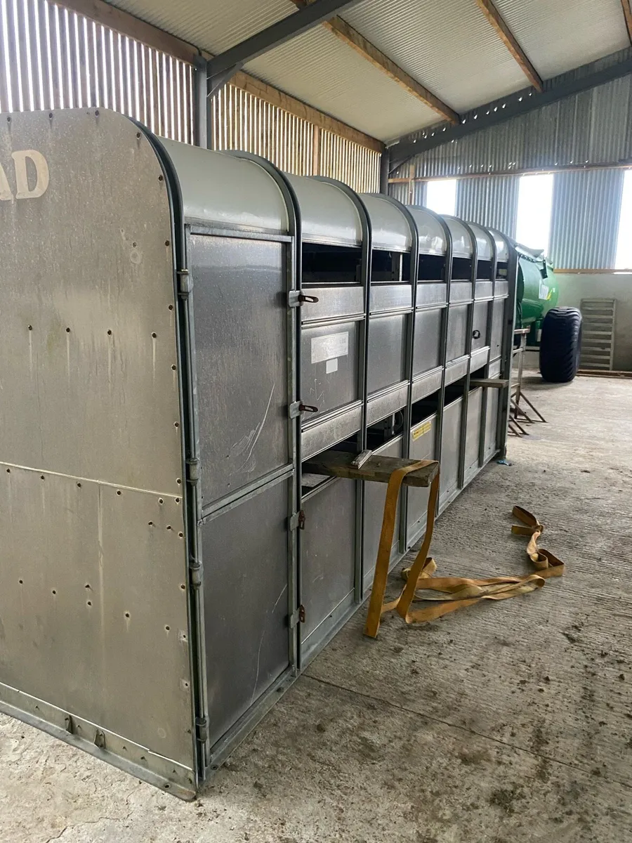 Ifor Williams  14ft - Image 2