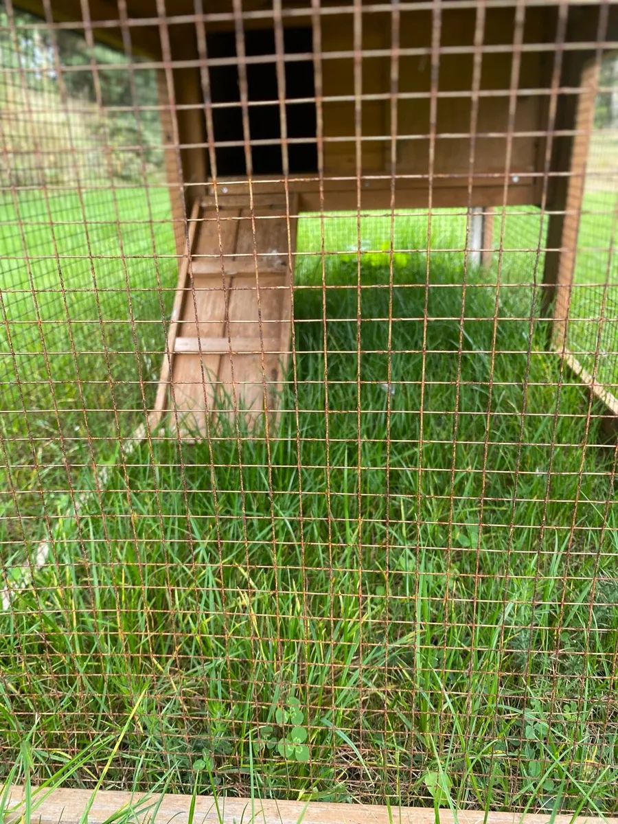 Chicken coop - Image 3