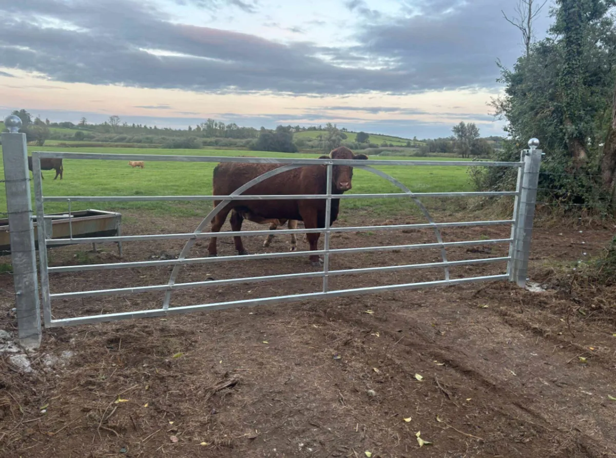Country Style Field Gate - Image 2