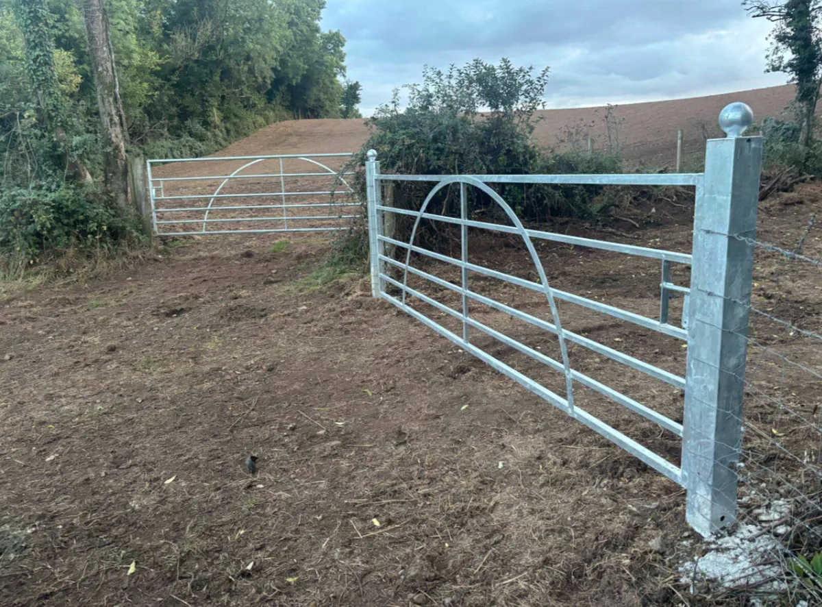 Country Style Field Gate - Image 3