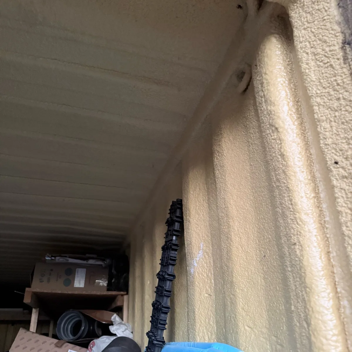 Container - Image 3