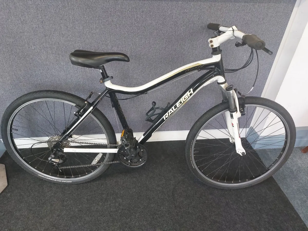 Raleigh Bike - Image 1
