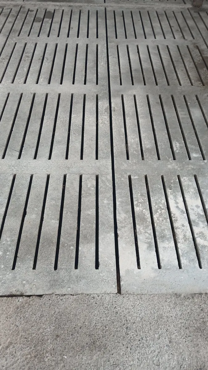 Slats - Image 3