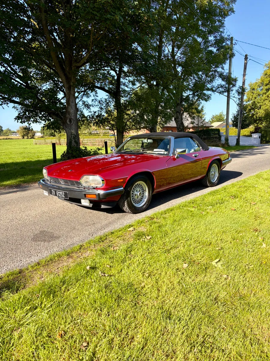 Stunning Jaguar XJS V12 Cabriolet (50k Miles) - Image 1