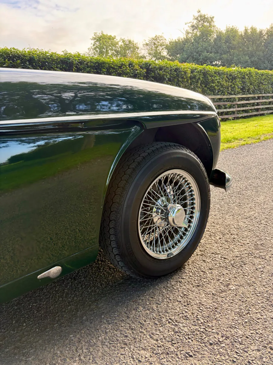 1964 Jensen C V8 (Huge History File) - Image 4