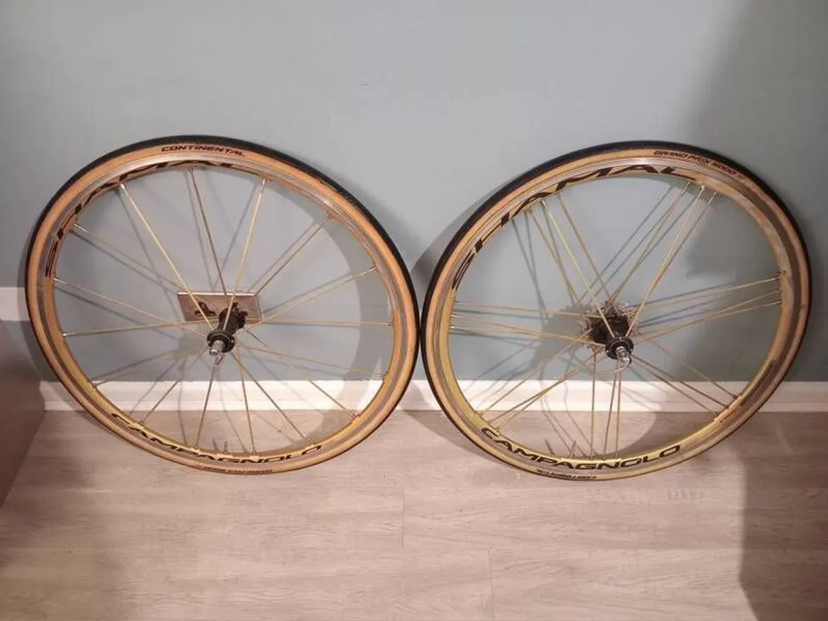 Gold Campagnolo Shamal Wheelset (Rare as F#@k) - Image 2