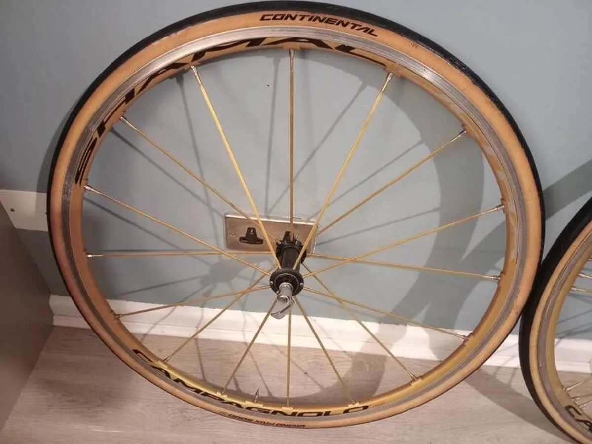 Gold Campagnolo Shamal Wheelset (Rare as F#@k) - Image 3